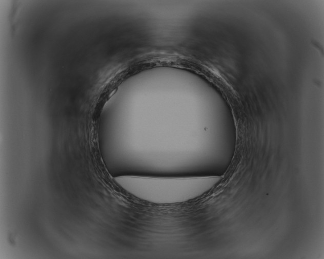 X0000093221399200709261436