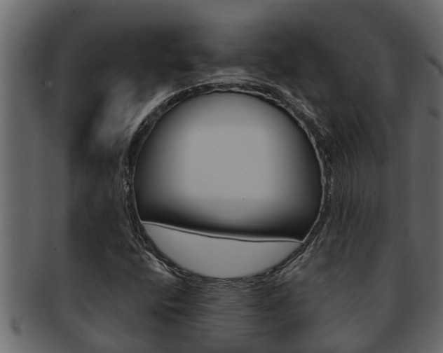 X0000093221400200709261436