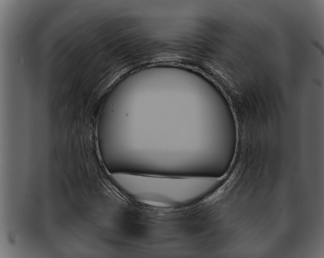 X0000093221401200709261436