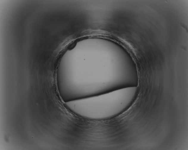 X0000093221407200709261436