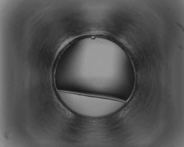 X0000093221412200709261436