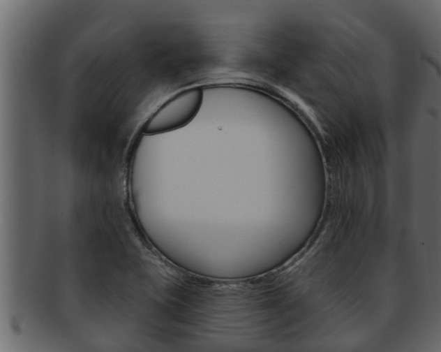X0000093221415200709261436