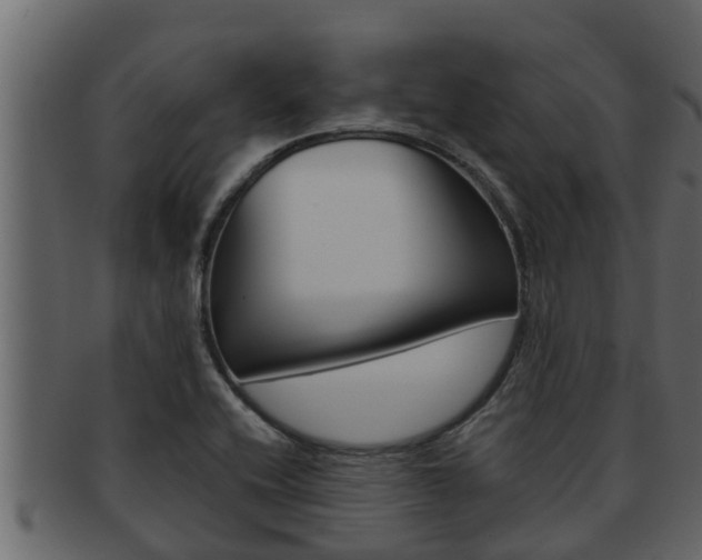 X0000093221416200709261436