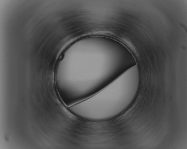X0000093221420200709261436