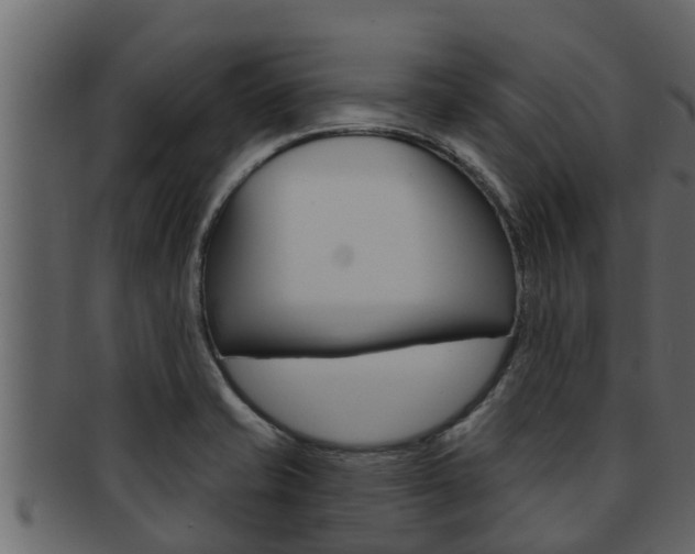 X0000093221421200709261436