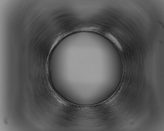 X0000093221436200709261436