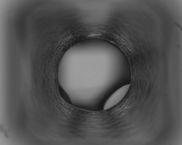 X0000093221441200709261435