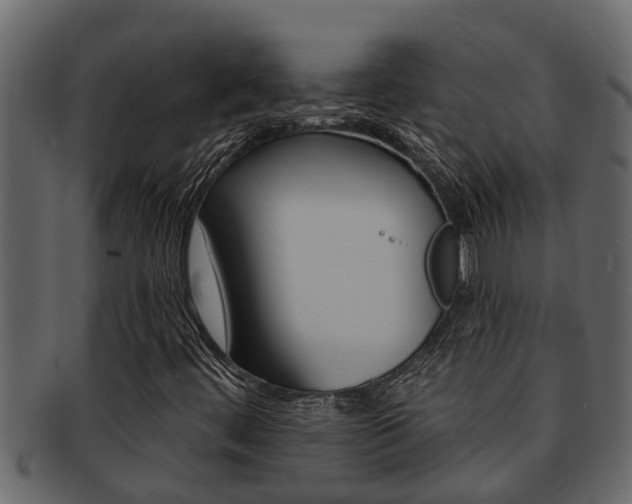 X0000093221444200709261435