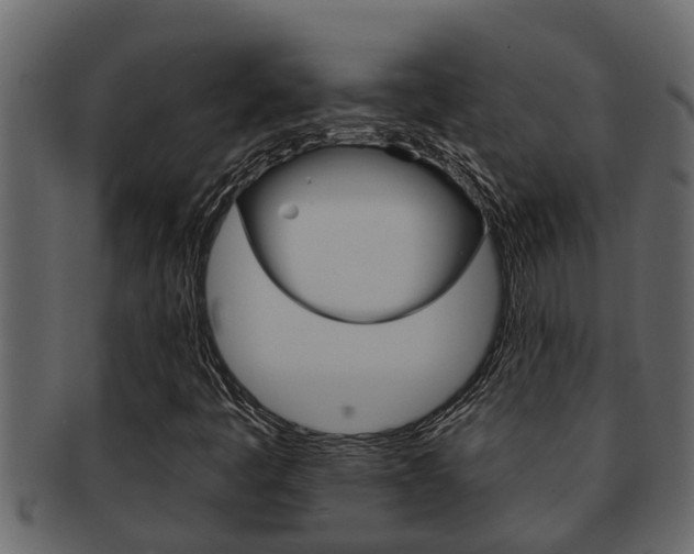 X0000093221445200709261435