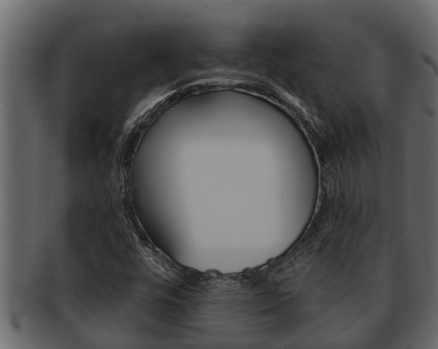 X0000093221448200709261435