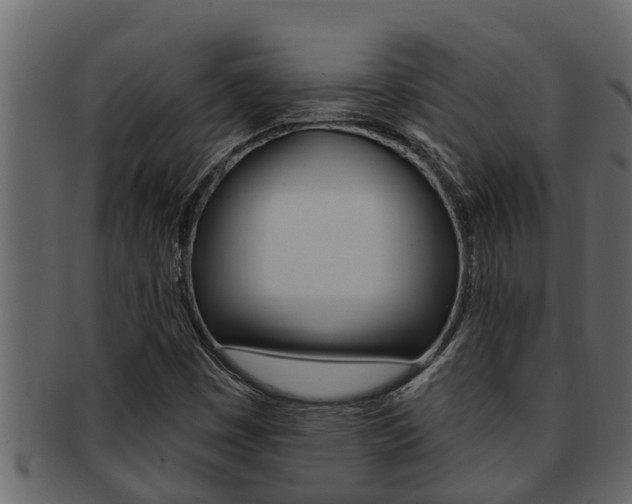 X0000093221449200709261435