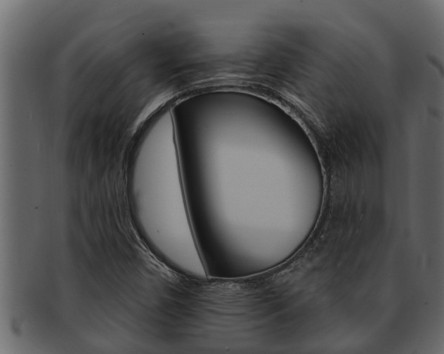 X0000093221450200709261435