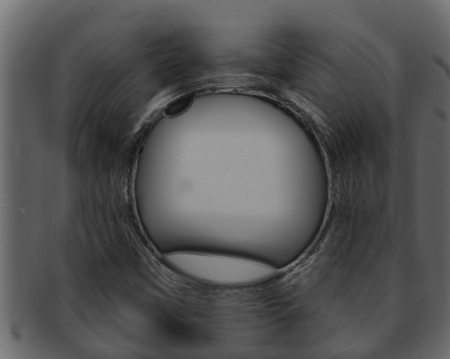 X0000093221451200709261435