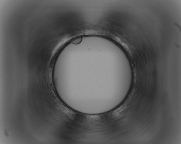 X0000093221454200709261435