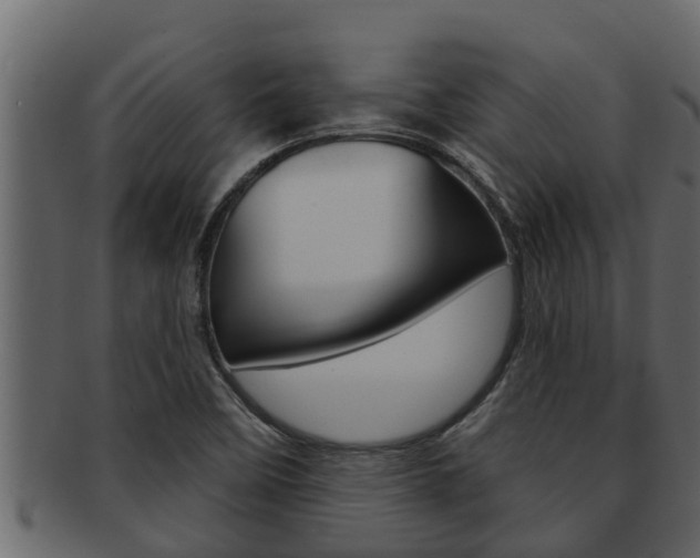 X0000093221458200709261435