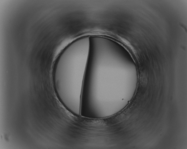 X0000093221464200709261435