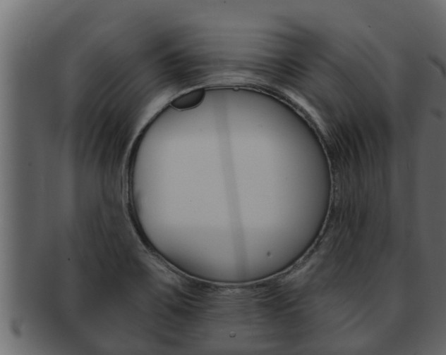 X0000093221467200709261435