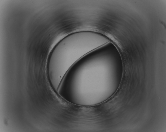 X0000093221469200709261435