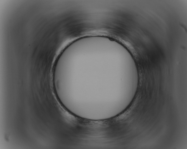 X0000093221470200709261435