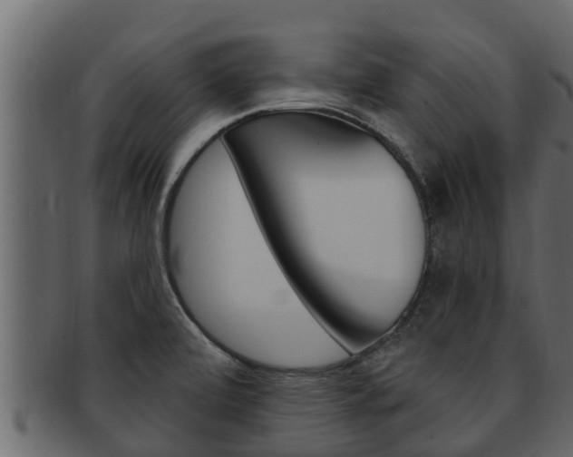 X0000093221472200709261435