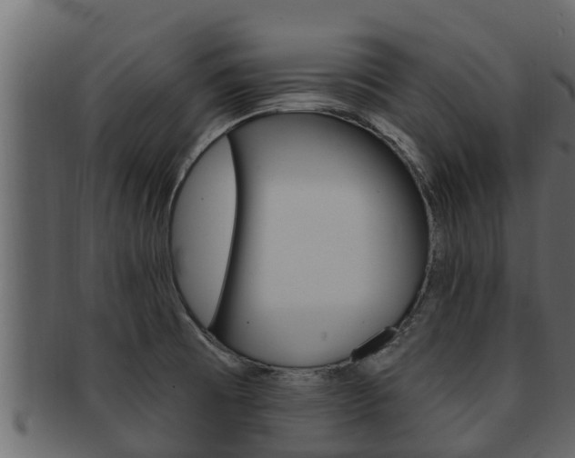 X0000093221473200709261435