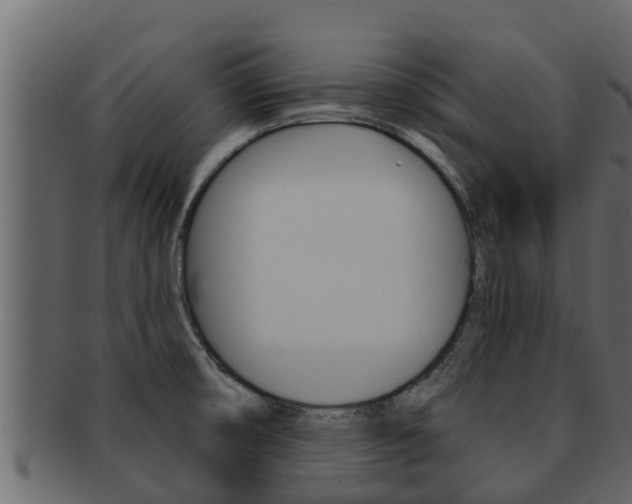 X0000093221474200709261435