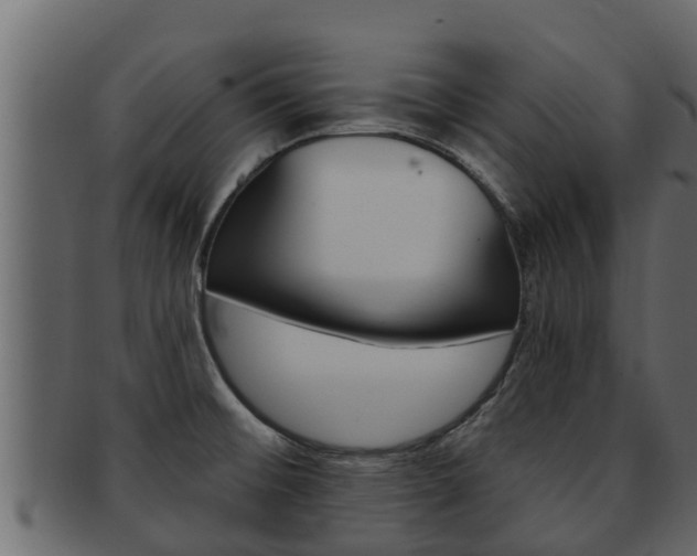 X0000093221476200709261435