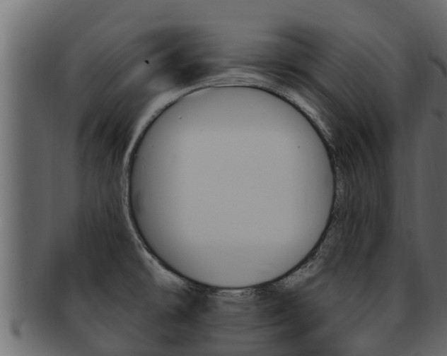X0000093221478200709261435