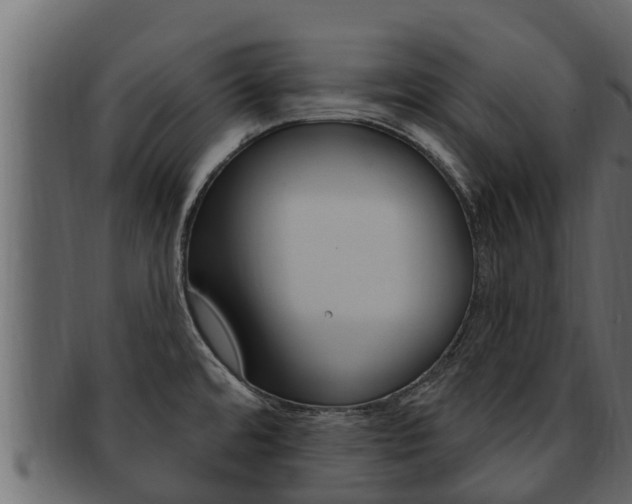 X0000093221480200709261435