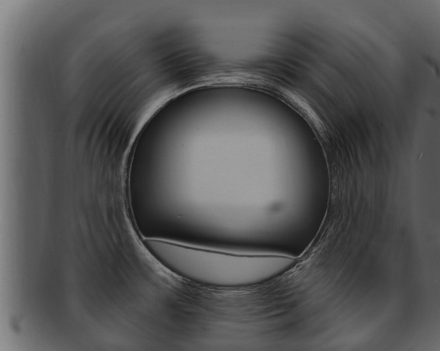 X0000093221483200709261435