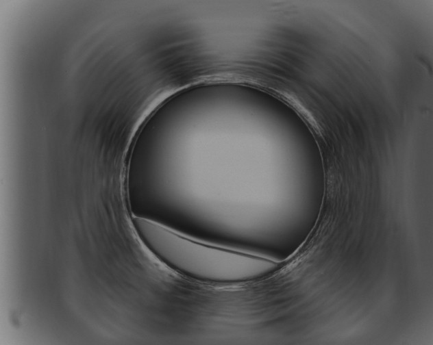 X0000093221484200709261435
