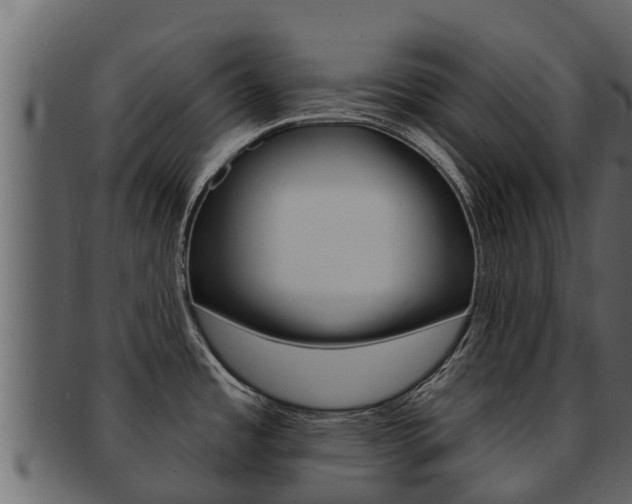 X0000093221485200709261435