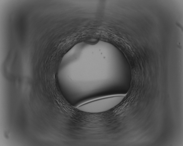 X0000093221489200709261434