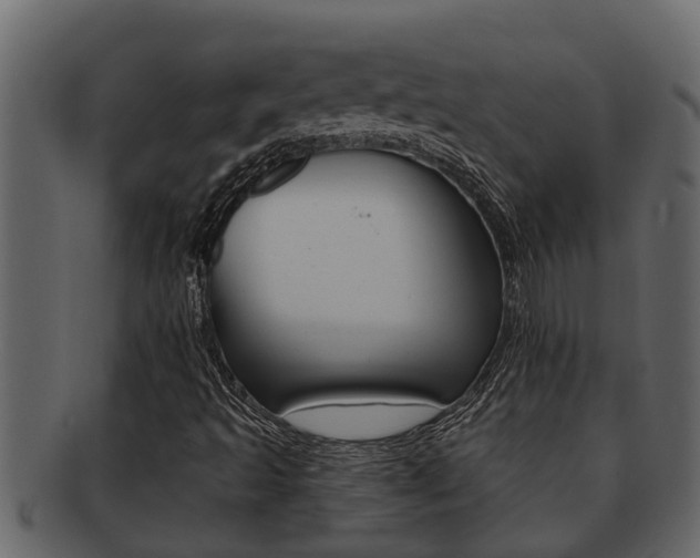 X0000093221493200709261434