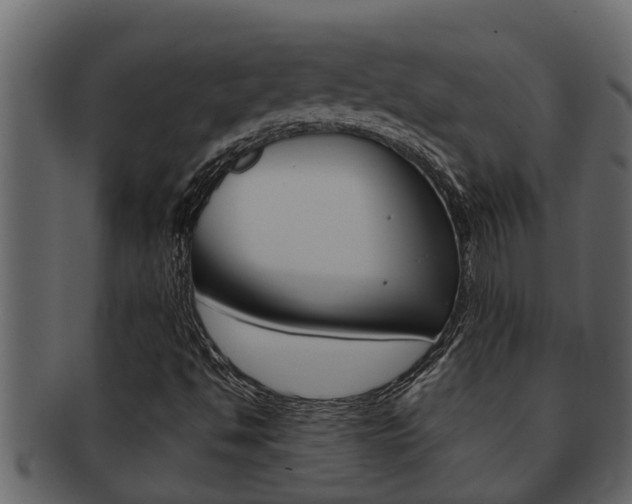 X0000093221494200709261434