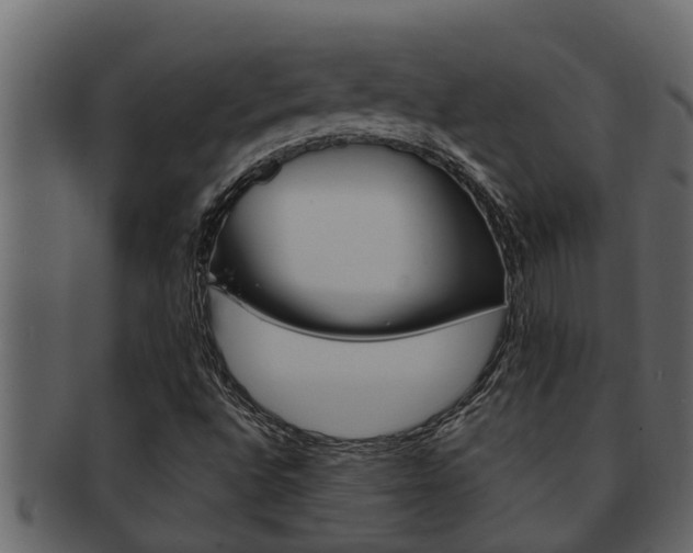 X0000093221496200709261434