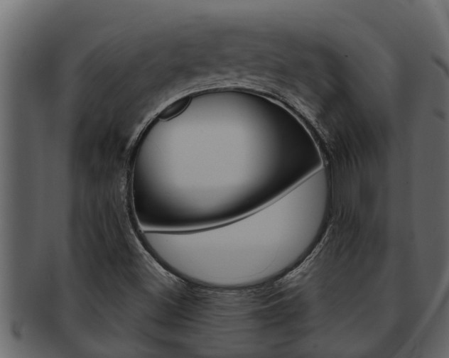 X0000093221500200709261434