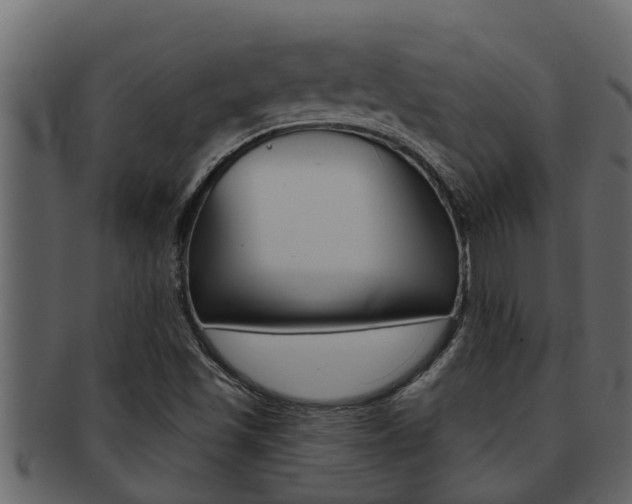 X0000093221501200709261434