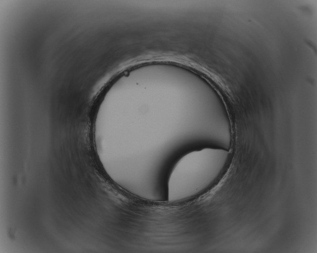 X0000093221502200709261434