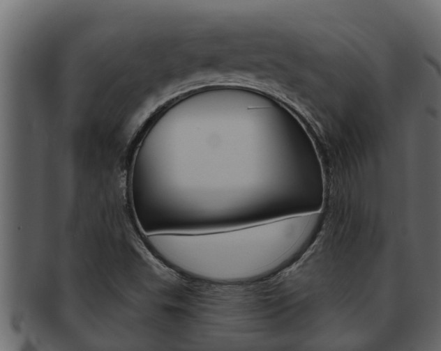 X0000093221503200709261435