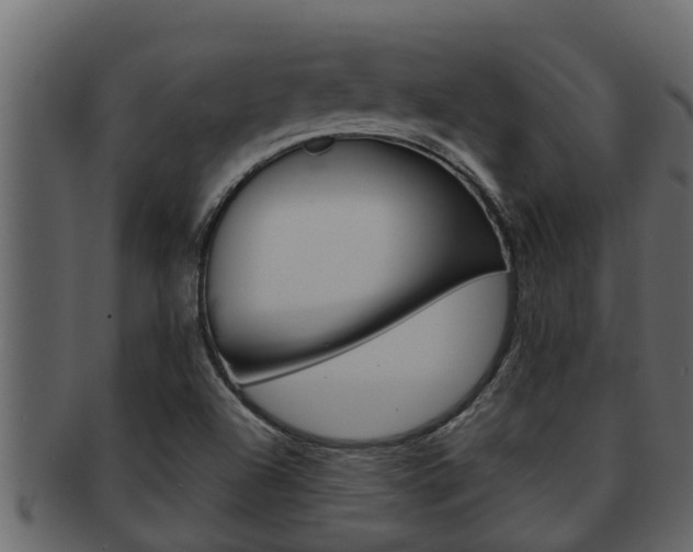 X0000093221504200709261435