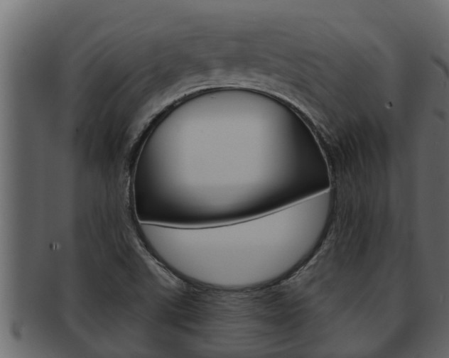 X0000093221507200709261435