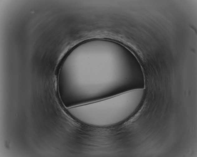 X0000093221509200709261435
