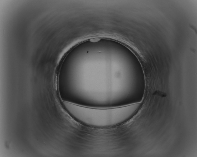 X0000093221510200709261435