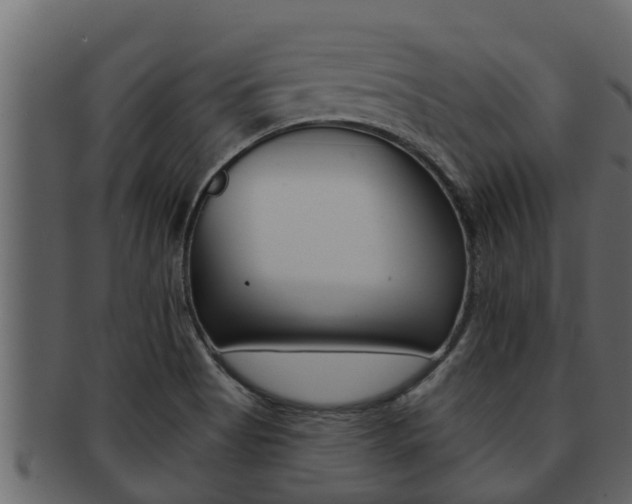 X0000093221513200709261435