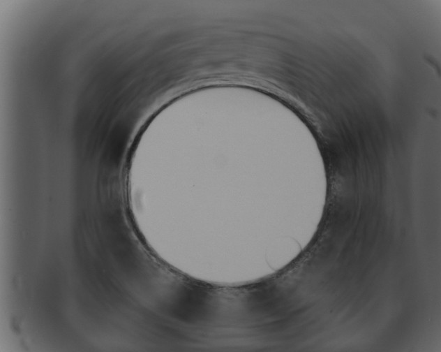 X0000093221514200709261435
