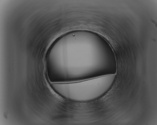 X0000093221515200709261435