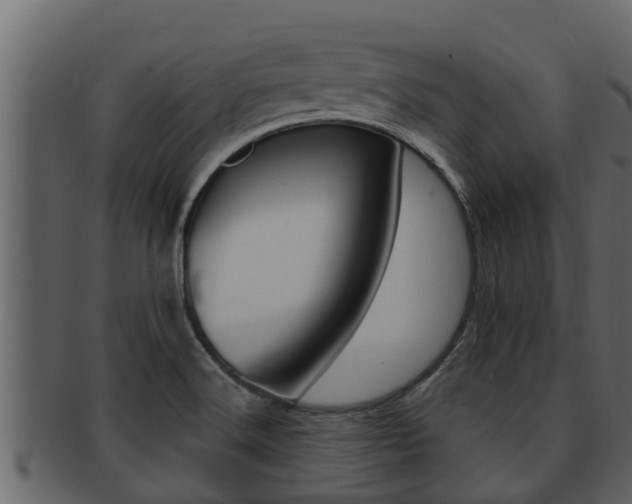 X0000093221516200709261435