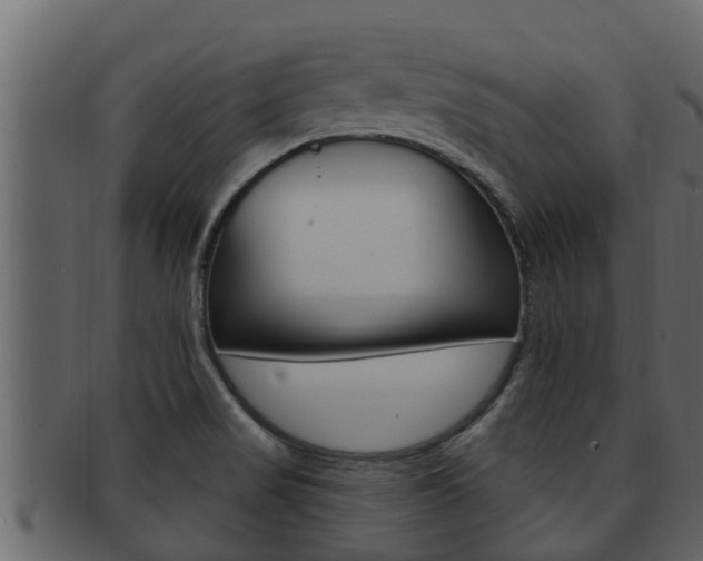 X0000093221517200709261435