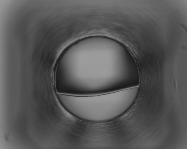 X0000093221519200709261435